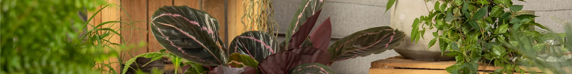 GS610236.jpg GS610236.jpg