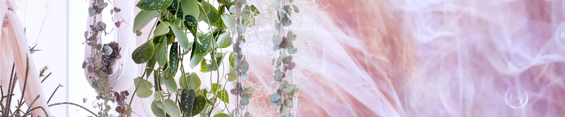 blumenbuero-arrangement-verwenden_bis-2023-02-12 (2).jpg