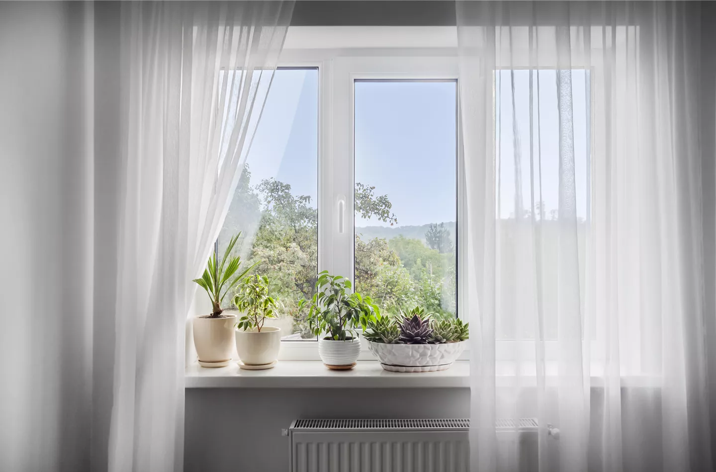 Die begrünte Fensterbank