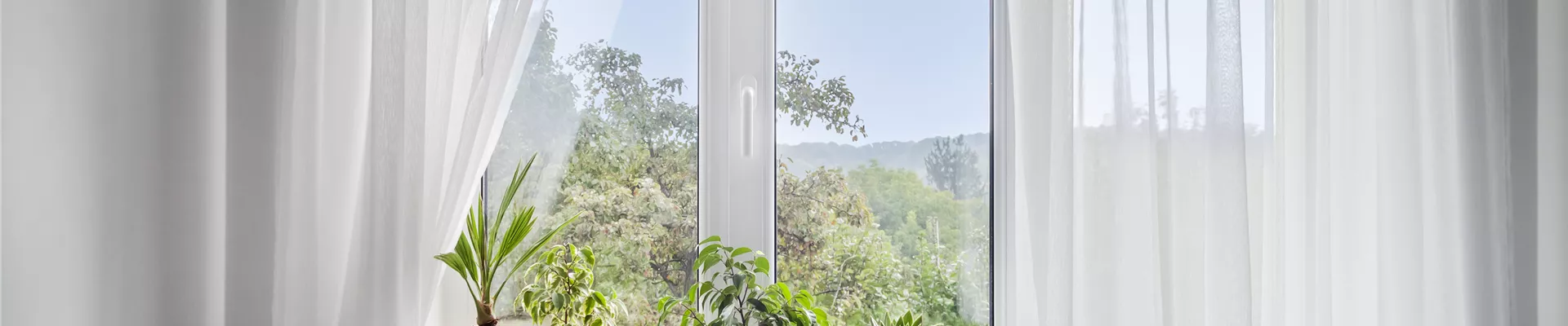 window-with-white-tulle-and-potted-plants-on-windowsill-view-of-nature-from-the-window.jpg