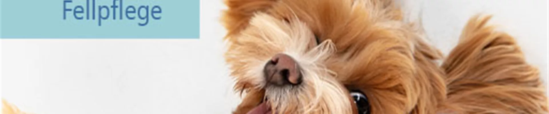 Gesundheit plus_Fellpflege.jpg Gesundheit plus_Fellpflege.jpg