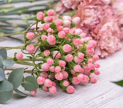 Frühling im Steckschaum