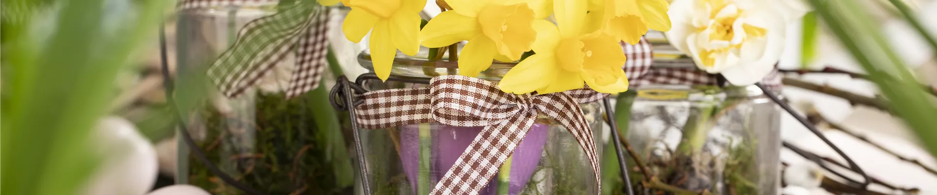 GS603759.jpg GS603759.jpg