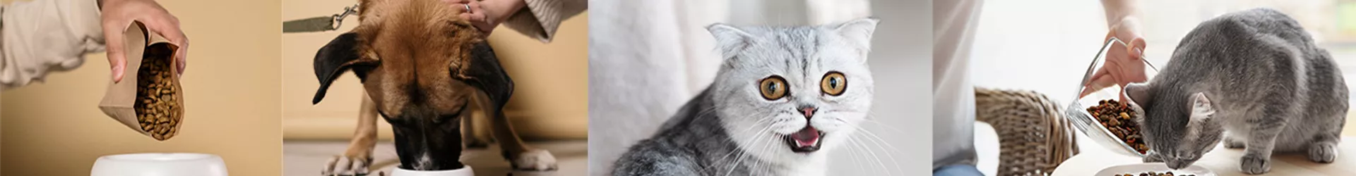 Header Eigenmarken Zoo und Co Haubensak.jpg Header Eigenmarken Zoo und Co Haubensak.jpg