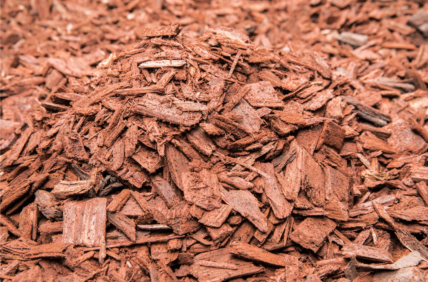 Der Mulch macht’s
