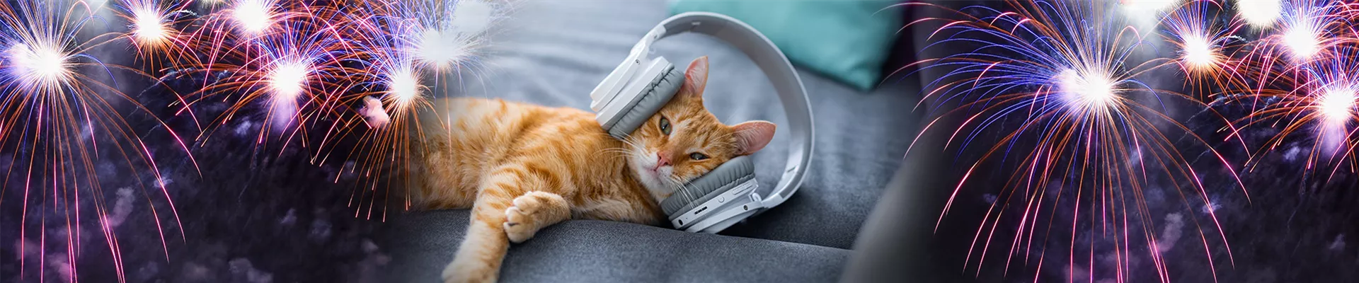 Katze an Silvester.jpg