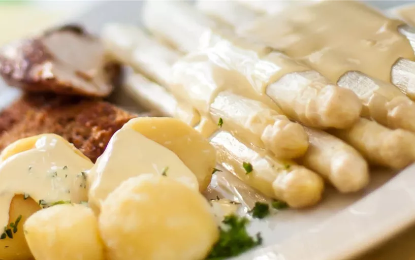 Haubensak Spargel Web LS2202663.jpg